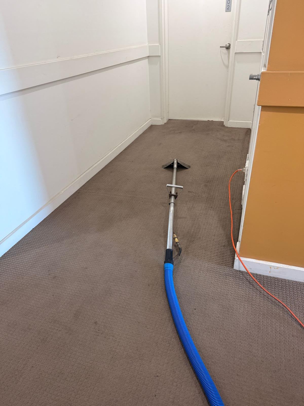 Carpet after steam clean